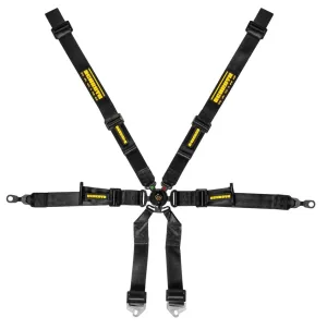 Schroth Flexi 2x2 Porsche GT3-GT4 6 Point Racing Harness