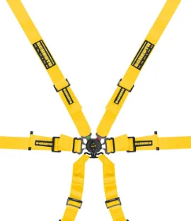 Schroth Flexi 2x2 Porsche GT3-GT4 6 Point Racing Harness