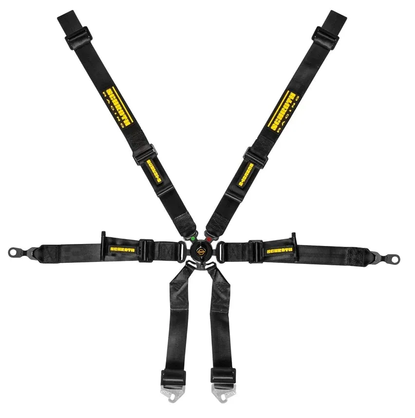 Schroth Flexi 2x2 Porsche GT3-GT4 6 Point Racing Harness